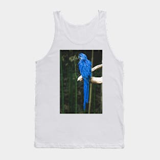 Wild life design Tank Top